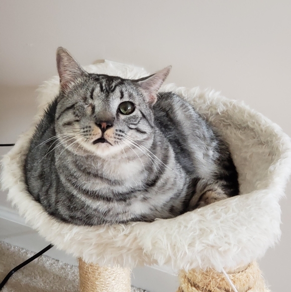 Meet your Posher, Tami - Picture 12 of 13